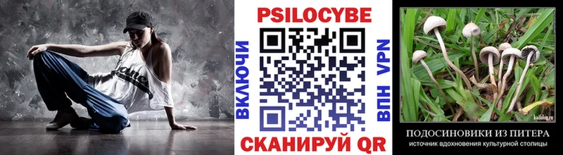 Псилоцибиновые грибы Psilocybe  Купить закладки  Юрюзань 